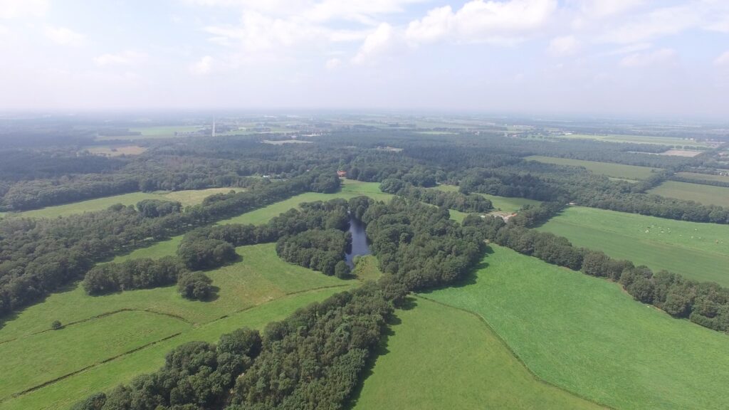 Natte teelt lisdodde, foto Gert-Jan van Duinen