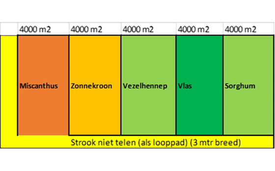 teelten vezelgewassen.png