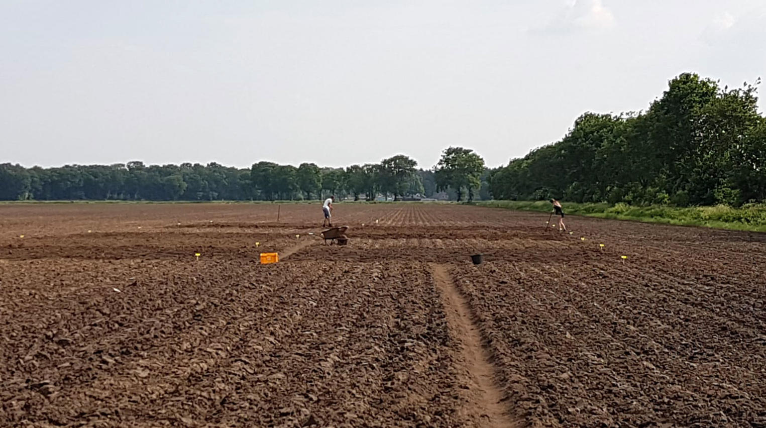 studennten proefveld compost.jpg