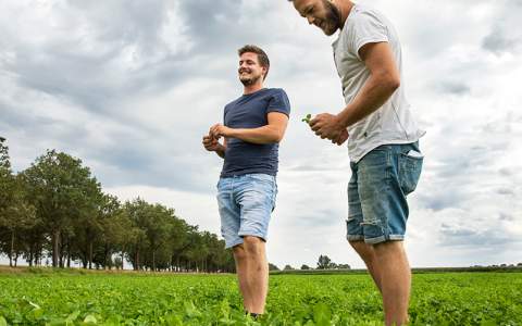 Kruidenrijke weide floreert zonder bemesting en beregening