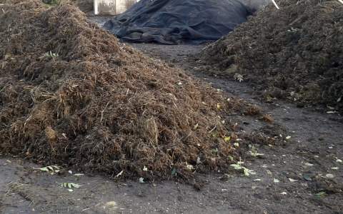 Bodemverbetering met compost en insectensubstraat