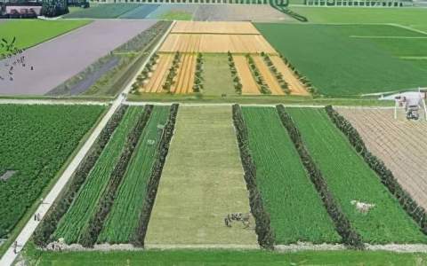 Boerderij van de Toekomst Zuidoostelijk Zand van start