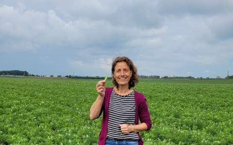 'Gezamenlijk zorgen dat lupine gaat vliegen'