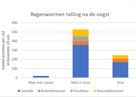 Klik hier voor samenvatting resultaten project mais in gras