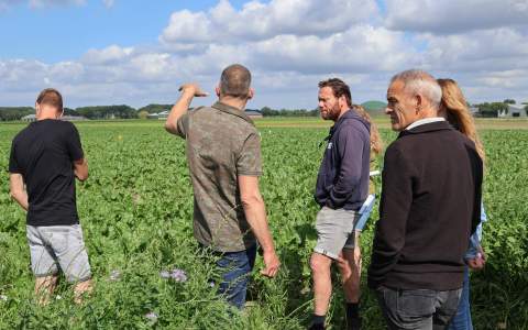 Proeflocatie inspiratie voor praktische aanpak nieuwe teelten en teeltmethoden