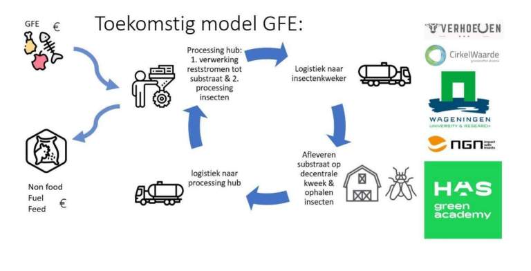 Schema toekomstig model GFE