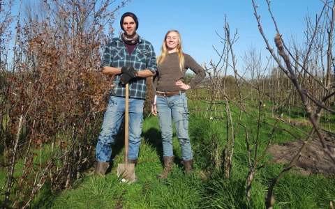 Demoveld Agroforestry