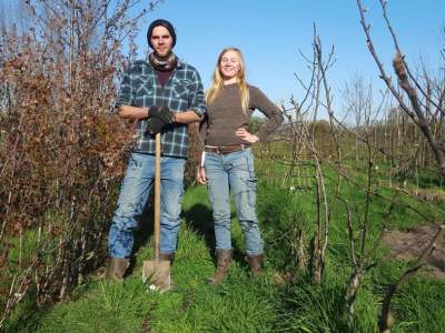 Demoveld Agroforestry