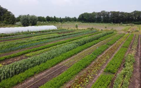 Onderzoek naar nieuwe proefboerderij Plaats De Kleine Aarde