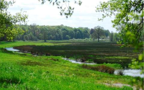 Nieuwe natuur als onderdeel uitbreiding AgroProeftuin de Peel