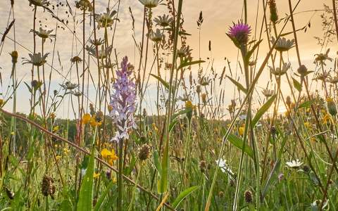 Geschiktheid biobased materiaal voor vezelproductie vooraf bepalen