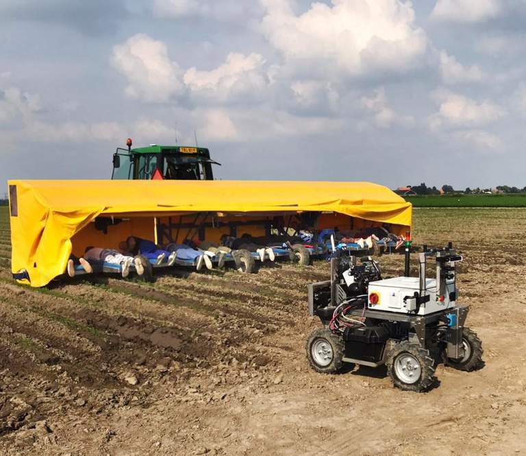 Onkruid wieden met een robot