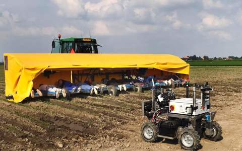 Met de robot onkruid wieden in peen en uien