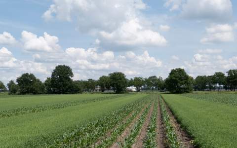 Doelsturing bodem en water