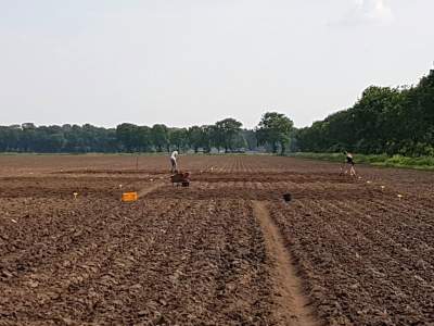 Bodemverbetering met compost en insectensubstraat